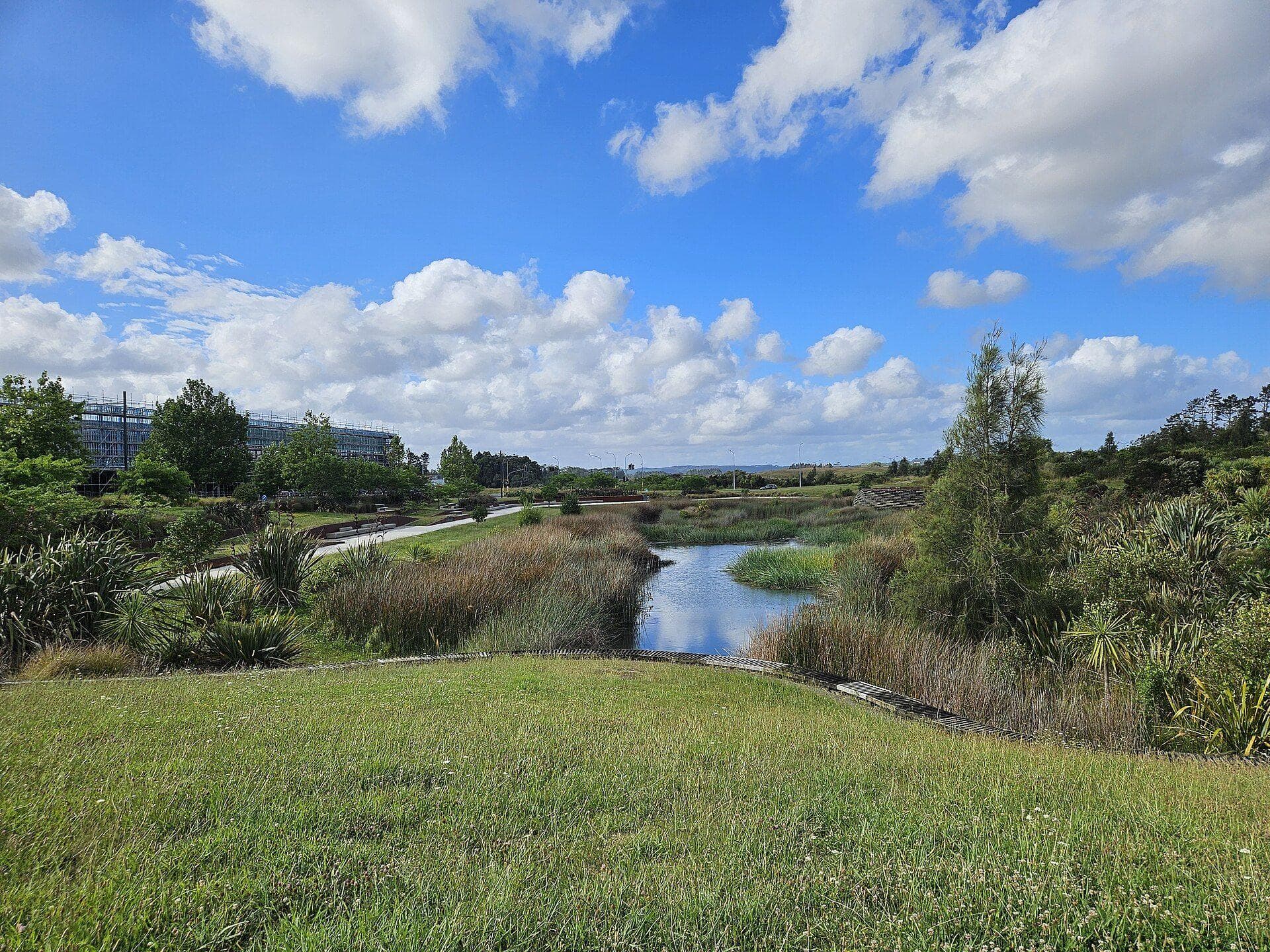 Kopupaka Reserve wetlands beside the Westgate town centre